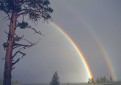 RAINBOWS